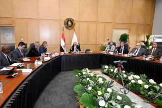 وزير الصناعة والنقل يبحث مع رئيس فولكس فاجن الألمانية تصنيع بعض طرازاتها في مصر