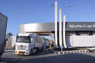 إستمرار خدمة الترانزيت الغير مباشر إلى دول الخليج عبر خط “الرورو” بميناء دمياط